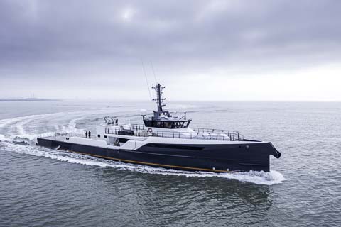 Damen Shipyards Group